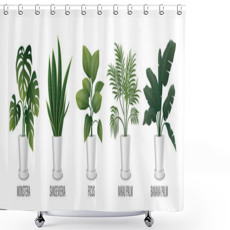 Personality  Vector House Plant In Pot Icon Set - Monstera, Sansevieria, Banana Palm, Ficus, Rhopalostylis, Nikau Palm In Pots Isolated On White. Houseplants Collection, Interior Plants. Vector Illustration. Shower Curtains