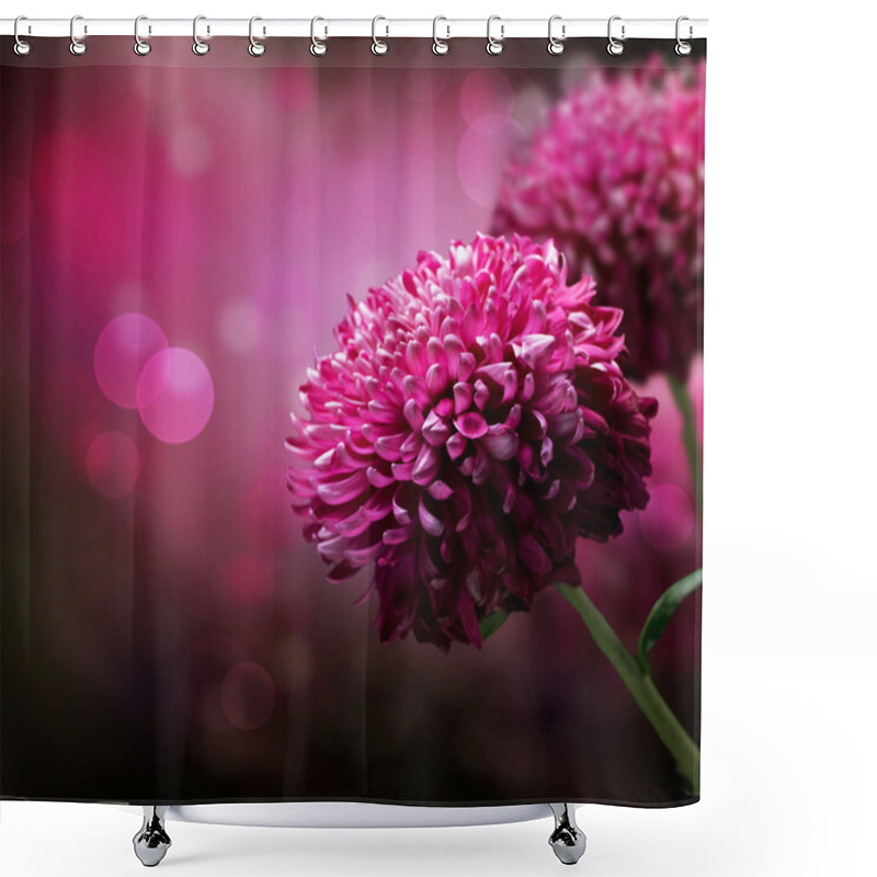 Personality  Dahlia Autumn Flower Design. With Copy-space Shower Curtains