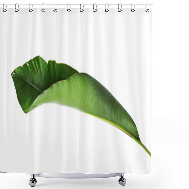 Personality  Strelitzia Reginae, Heliconia, Bird Of Paradise Foliage Isolated On White Background, With Clipping Path Shower Curtains