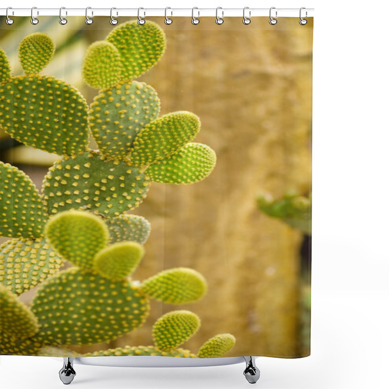 Personality  Cactus Shower Curtains