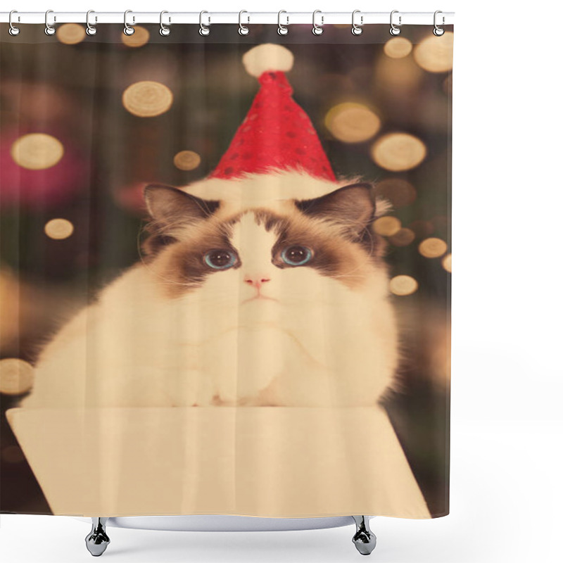 Personality  Cat. Christmans Party, Winter Holidays Cat With Gift Box. New Year Cat. Christmas Tree In Interior Background. Shower Curtains