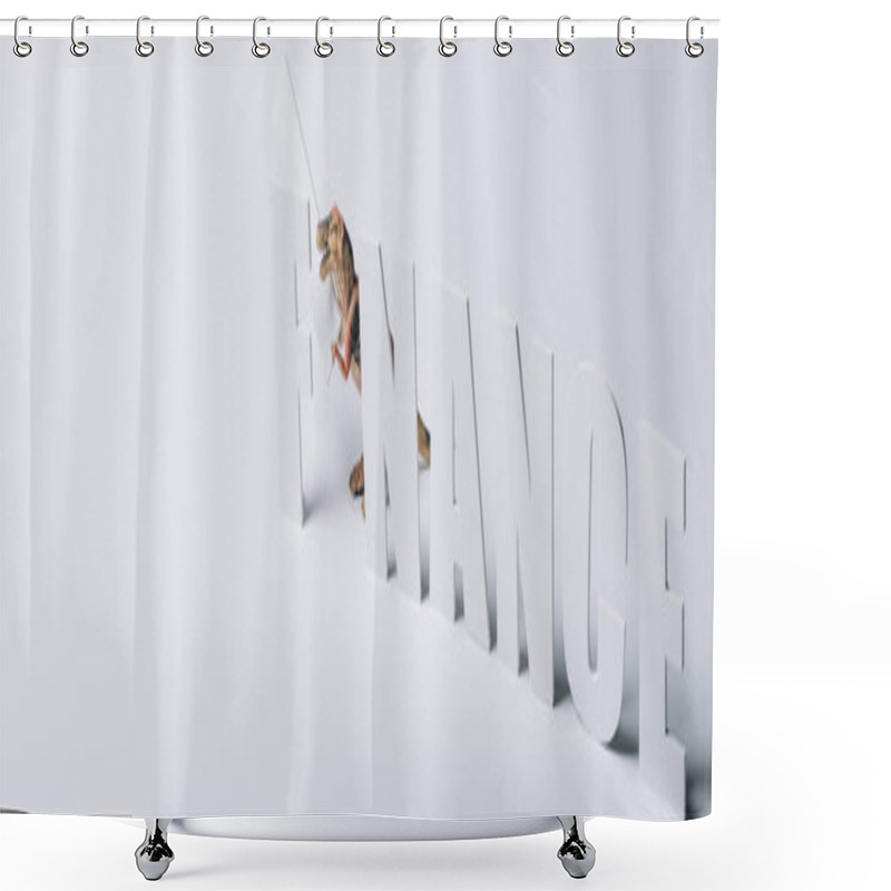 Personality  Panoramic Shot Of Toy Dinosaur With Finance Word On Grey Background Shower Curtains