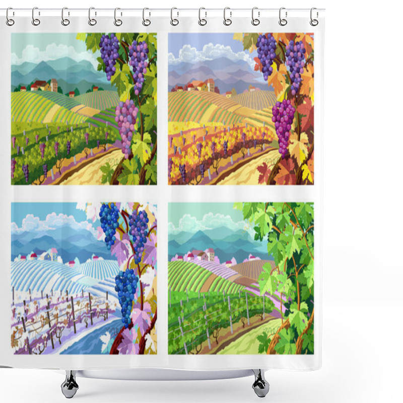 Personality  Vineyard And Grapes Bunches. Four Seasons. Shower Curtains