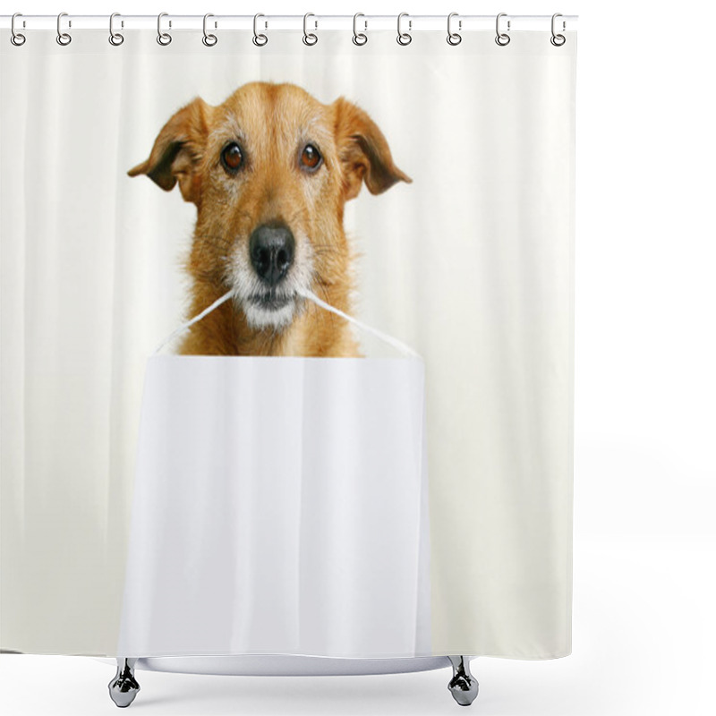 Personality  Dog Holding A Blank Sign Shower Curtains