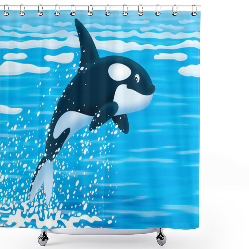 Personality  Killer Whale Shower Curtains