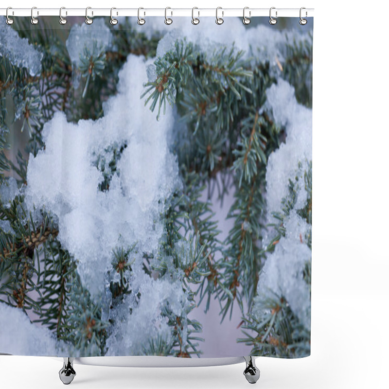 Personality  Fresh Snow Thawing In Conifer Tree Branches Shower Curtains