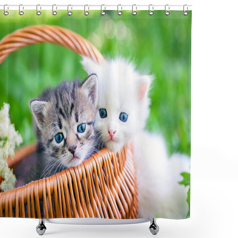 Personality  Little Kittens In  Basket Shower Curtains