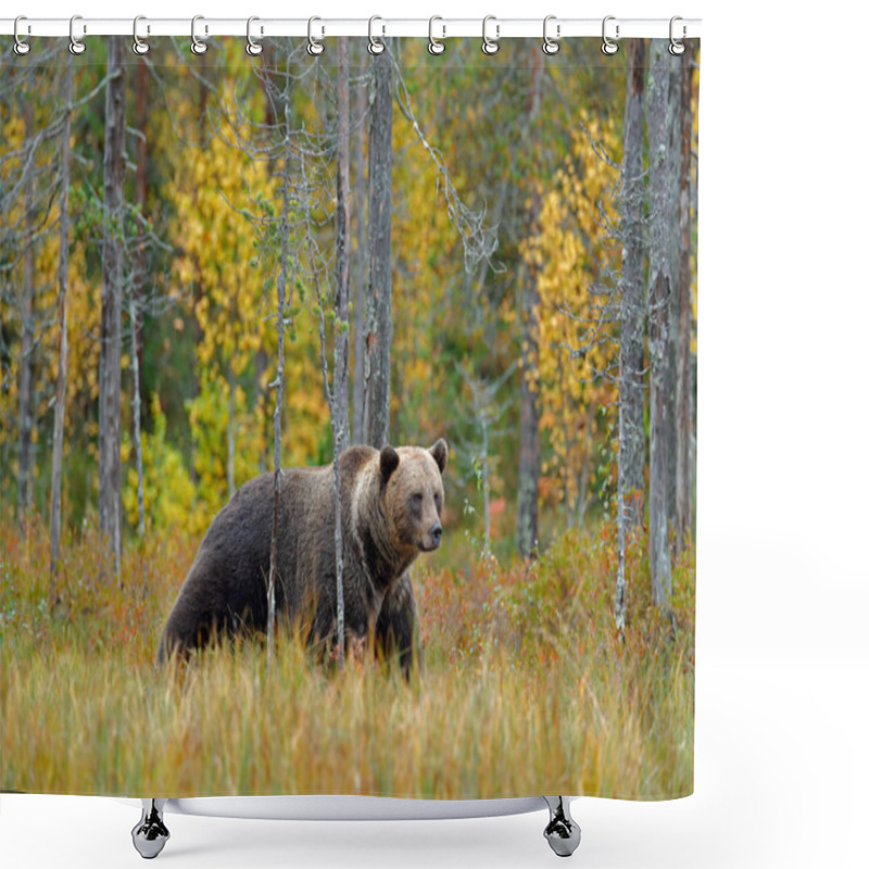 Personality  Bear Hidden In Yellow Forest Shower Curtains