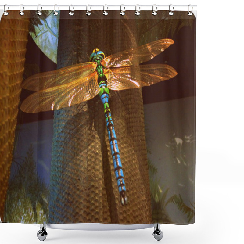 Personality  Meganeura Monyi  Shower Curtains