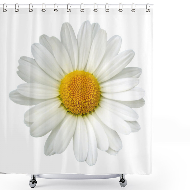 Personality  White Daisy Shower Curtains