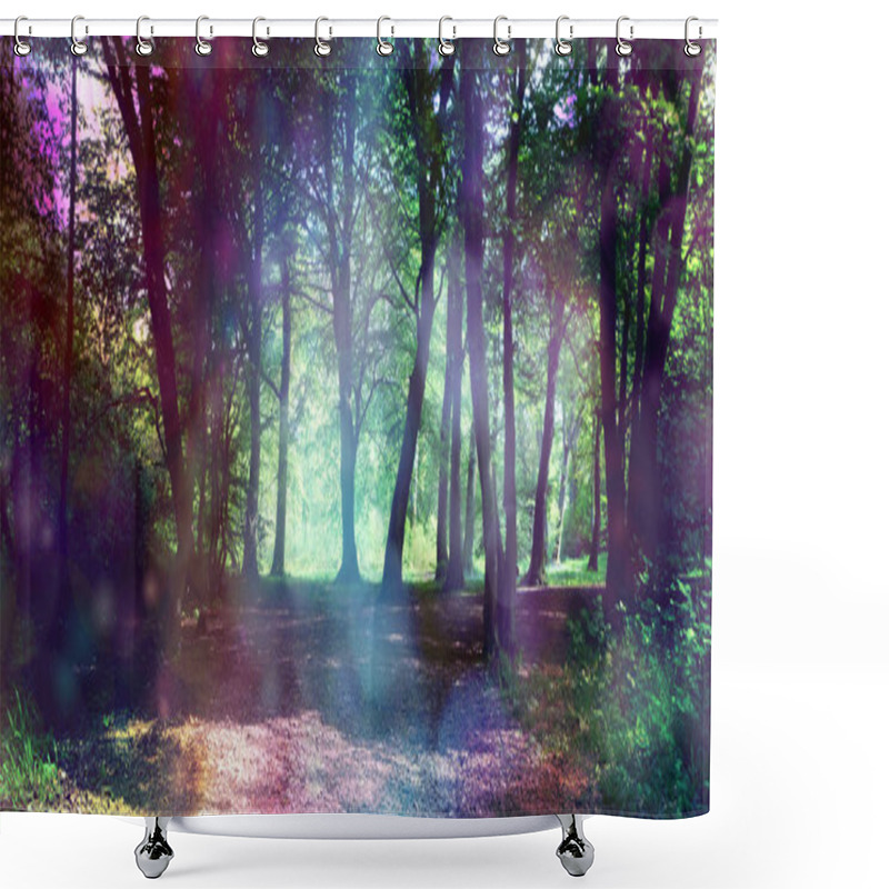 Personality  Magical Fairy Forest With Ethereal Light - Surreal Fantasy Woodland Copse With Ethereal Lighting On Trees And Undergrowth With Copy Space Shower Curtains