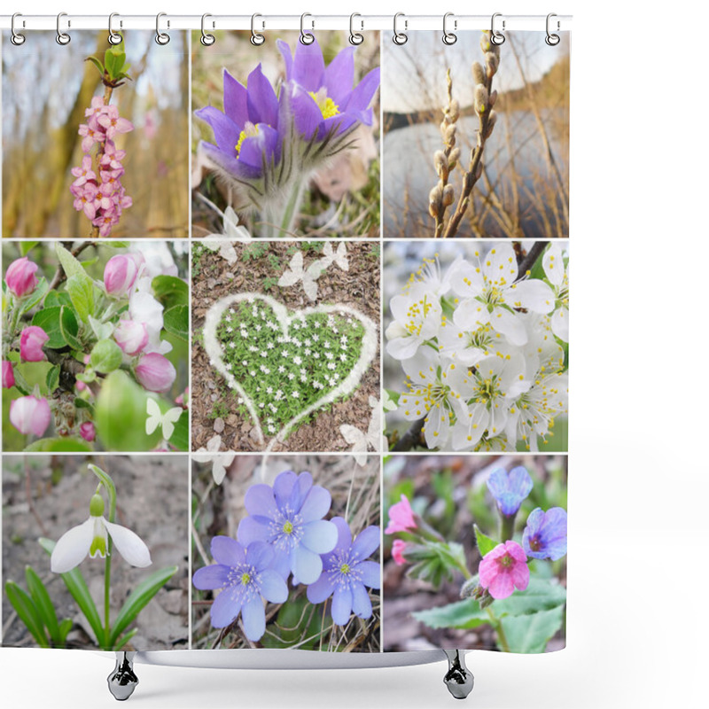 Personality  Slice Of The Spring Blossoms Shower Curtains