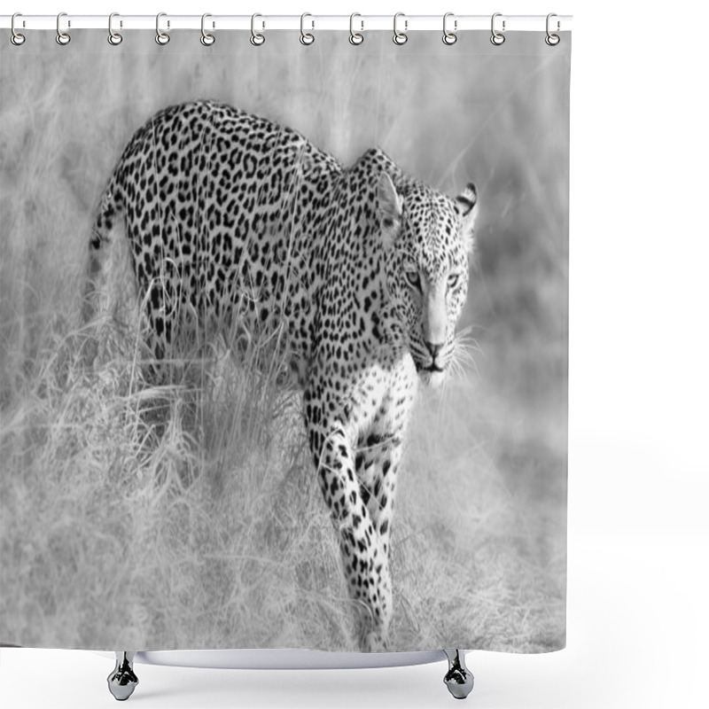 Personality  Wild African Leopard Shower Curtains