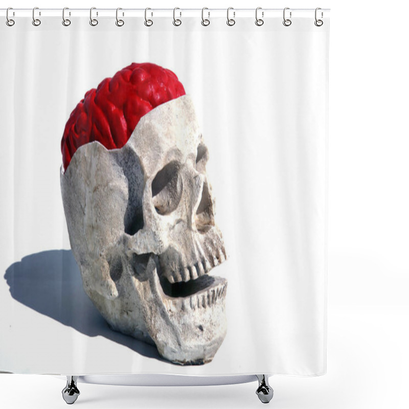 Personality  Halloween. Human Brains. Human Skull With A Brain. Human Brain. Human Skull. Isolated On White. Room For Text. Halloween Party. Happy Halloween. Halloween Props. Costume.  Shower Curtains