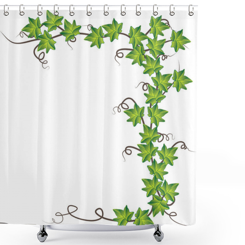 Personality  Green Ivy . Vector Illustration Shower Curtains