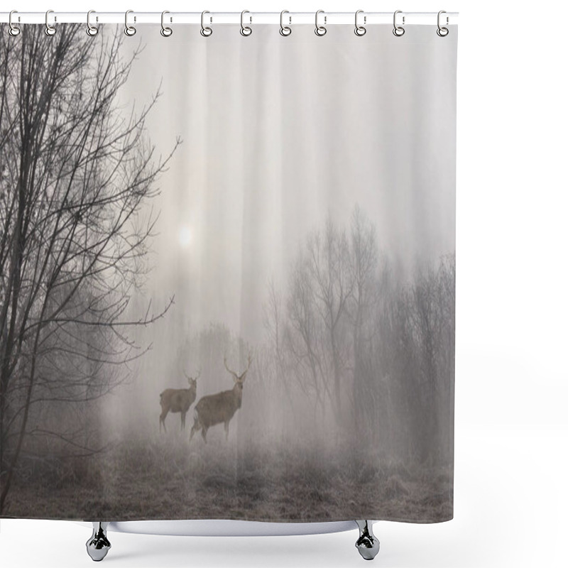 Personality  Sunrise In Early Morning With Sika Deers In Fog Among Trees. Autumnal Landscape. Shower Curtains