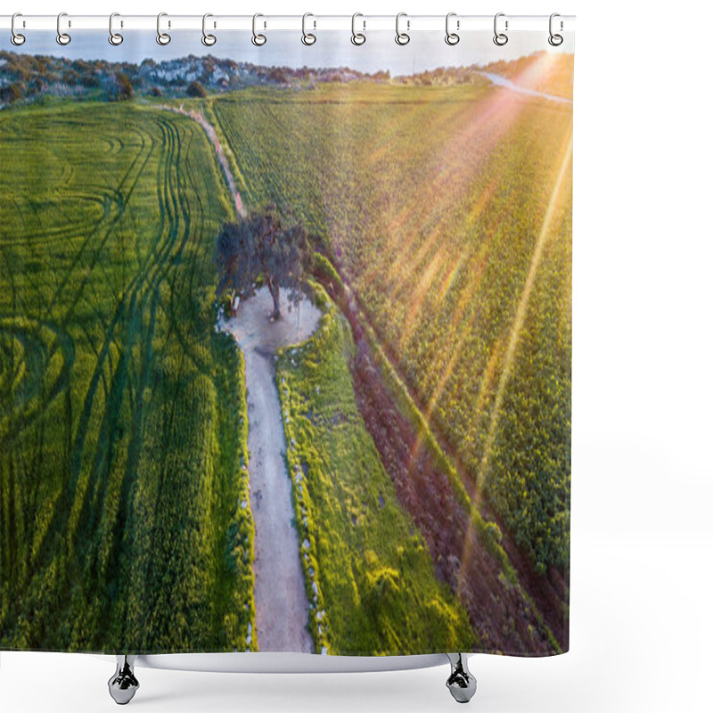 Personality  Tree Shower Curtains