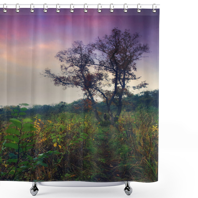 Personality  Lonely Tree Shower Curtains