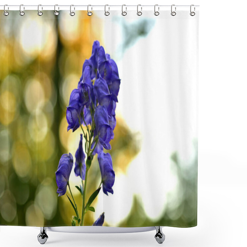 Personality  Close-up Of Bloom Of Aconitum Napellus Also Known As Aconite, Monkshood, Wolfs-bane, Leopards Bane, Mousebane, Womens Bane, Devils Helmet, Queen Of Poisons, Or Blue Rocket Shower Curtains