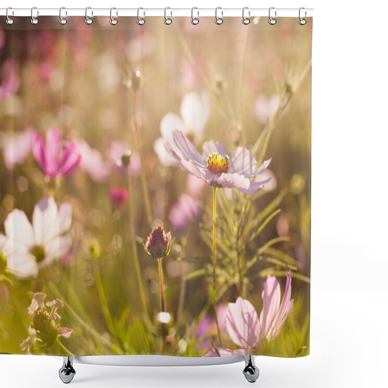 Personality  Cosmos Flowers Shower Curtains