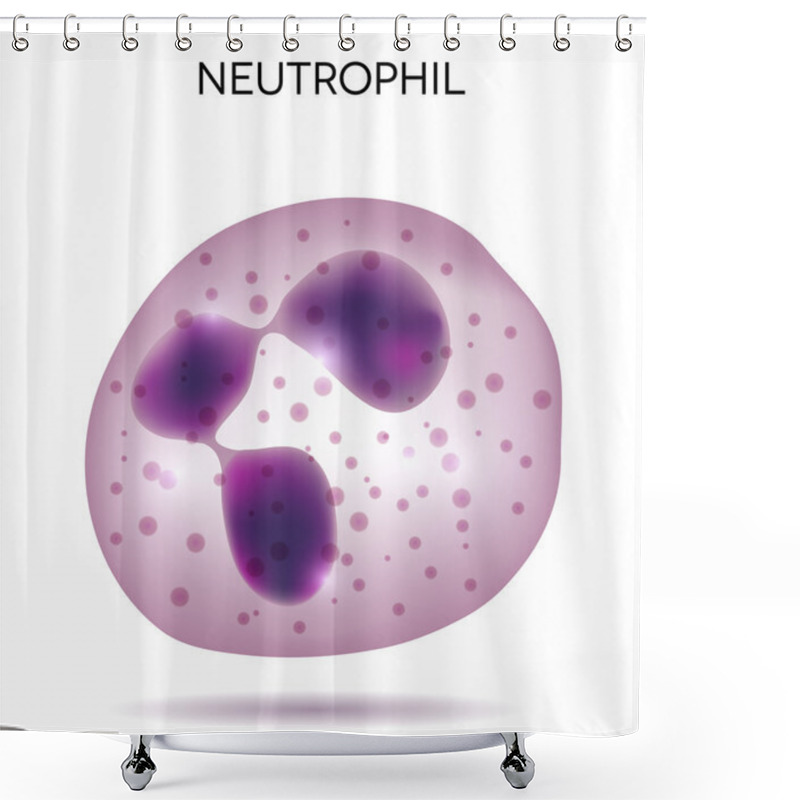 Personality  Human White  Blood Cell Neutrophil Shower Curtains