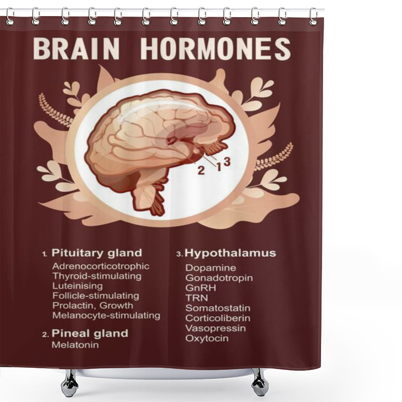 Personality  Information Poster With A List Of Hormones Secreted By The Glands Of The Human Brain For Training And Education Vertical Vector Illustration Shower Curtains