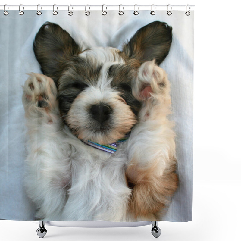 Personality  Sleepy Puppy Shower Curtains