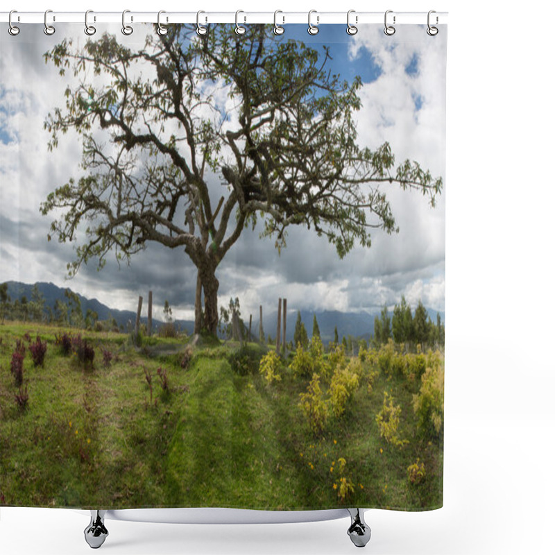 Personality  El Lechero, The Sacred Tree Of Otavalo Shower Curtains