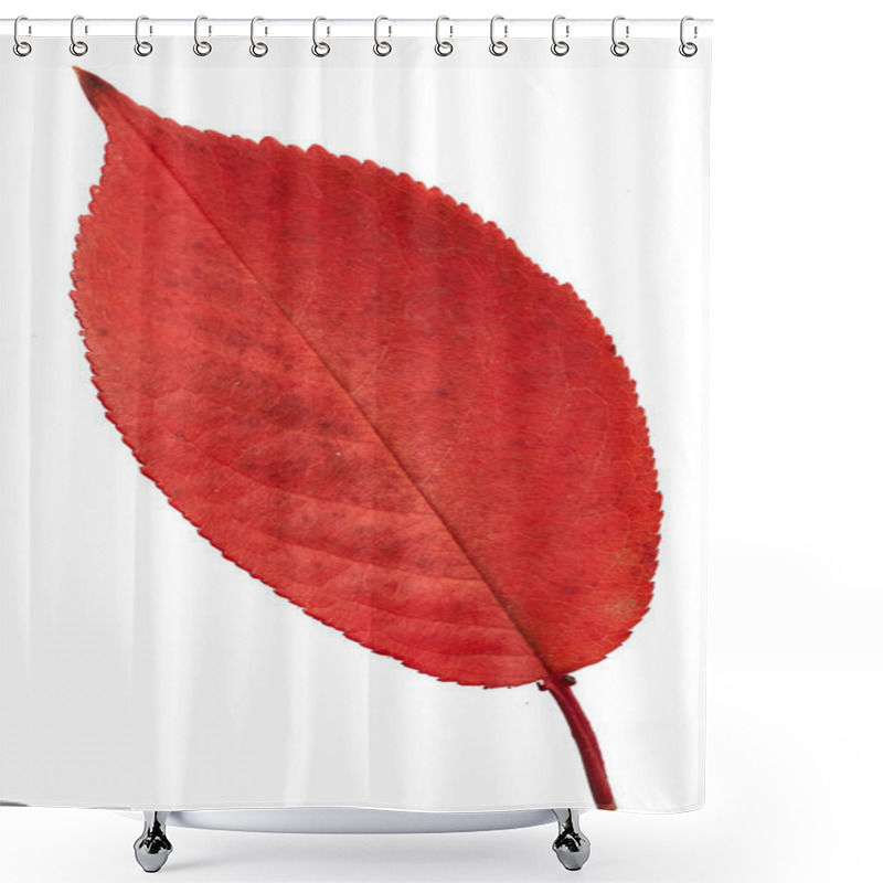 Personality  Red Autumn Leaf Shower Curtains