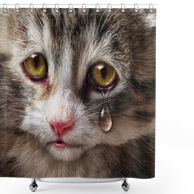 Personality  Animal Abuse Shower Curtains