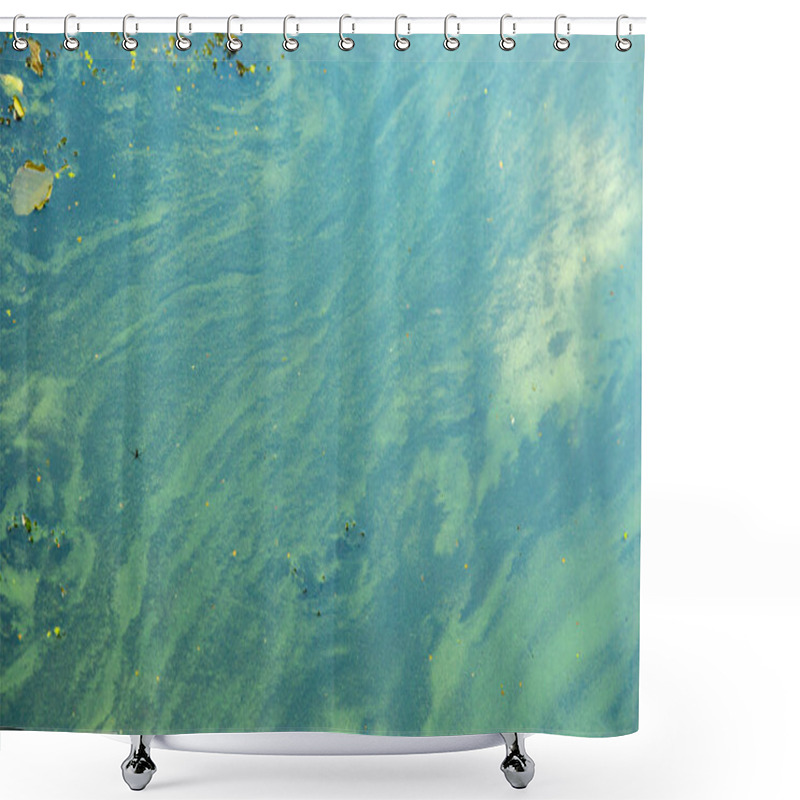 Personality  Blue-green Algae In A Body Of Water, Bathing Prohibited Shower Curtains