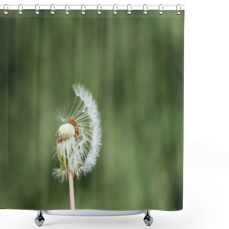 Personality  Close Up View Of Fluffy Fragile Dandelion On Blurred Green Background Shower Curtains