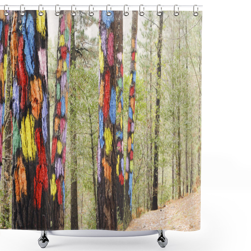 Personality  Painted Trees On The Forest Of Oma, Urdaibai Biosphere Reserve, Biscay, Spain. Shower Curtains