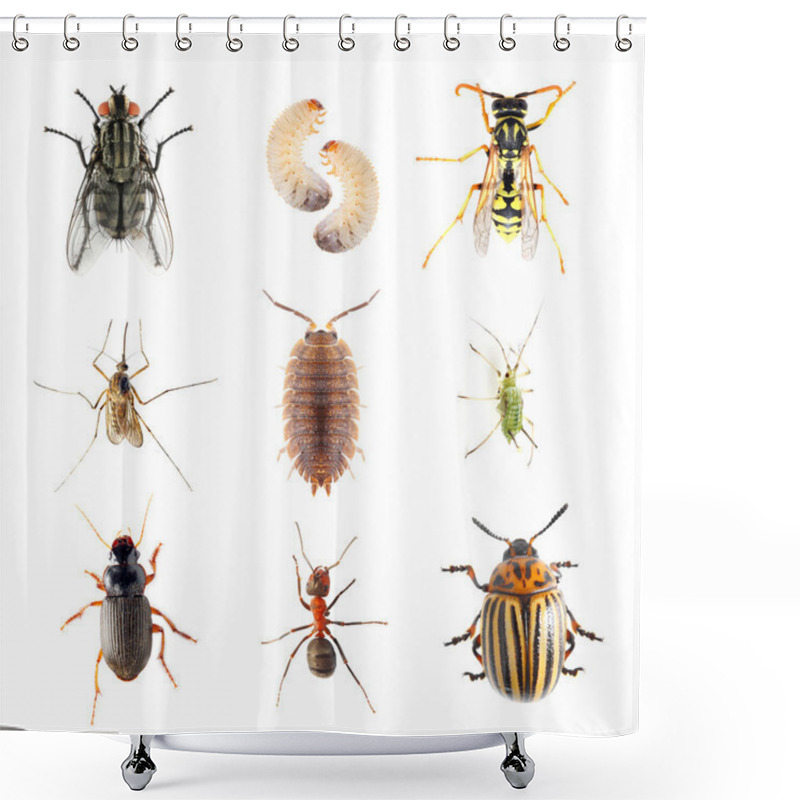 Personality  Collection Of The Insects Shower Curtains