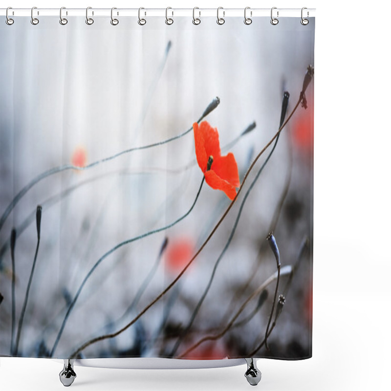 Personality  Abstract Poppies. Shallow DOF Shower Curtains