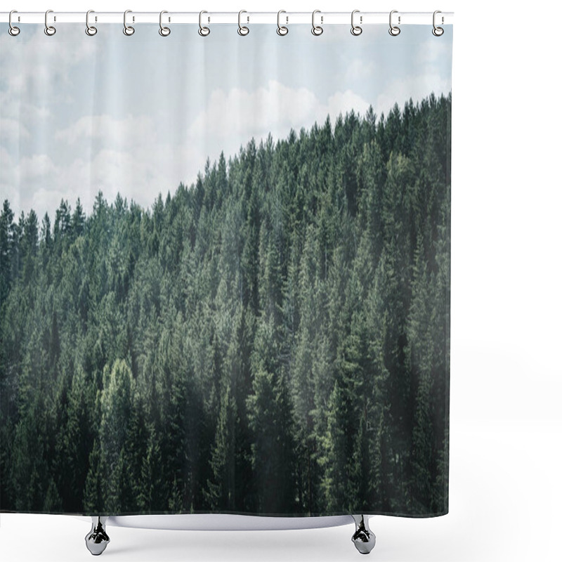 Personality  Foggy Forest In A Gloomy Landscape. Trees In Morning Fog Shower Curtains