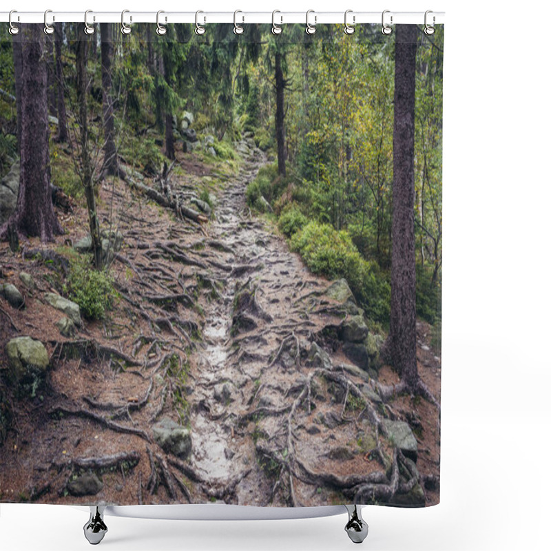 Personality  Stolowe Mountains In Poland Shower Curtains