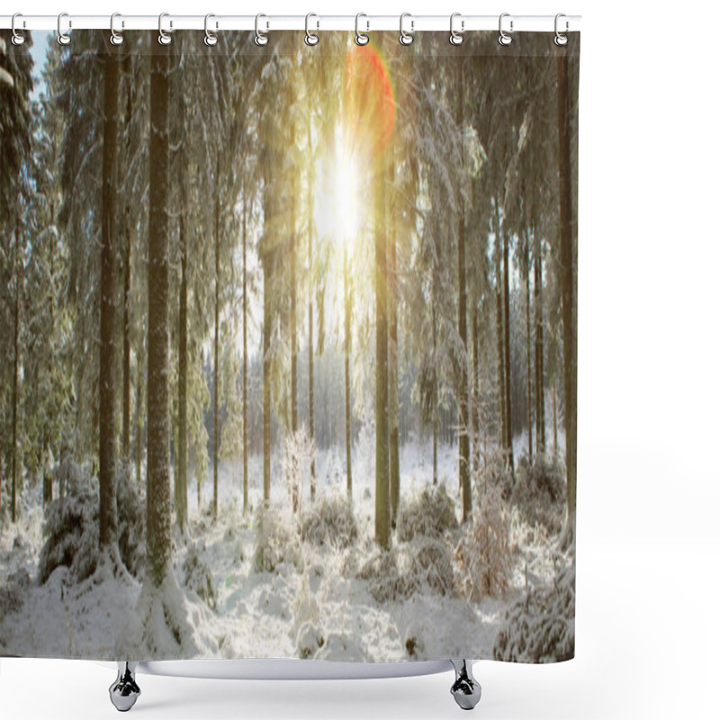 Personality  Sunset In Winter Forest. Winter Nature Background. Shower Curtains