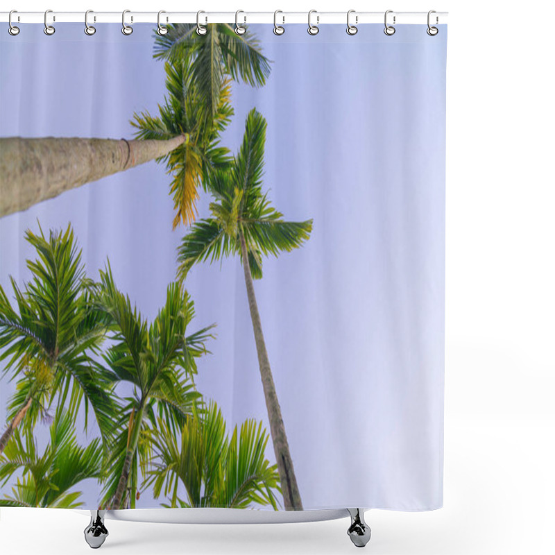 Personality  Palm Trees From Low Point Of View Taowering Overhead Shower Curtains