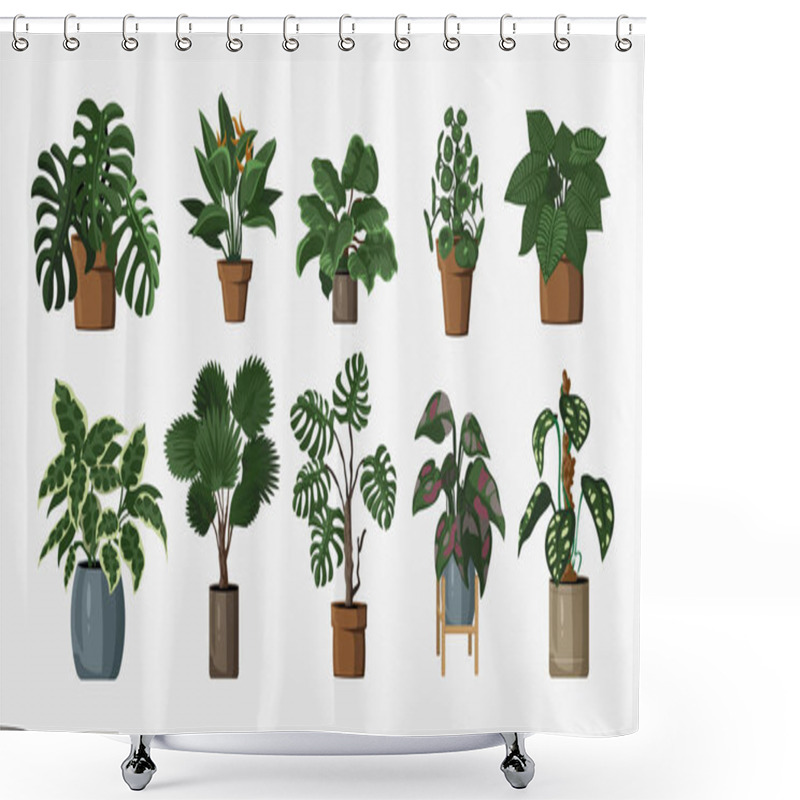 Personality  Set Of Vector Detailed House Or Office Plant For Interior Design And Decoration.Tropical And Mediterranean Plant For Interior Decor Of Home Or Office Shower Curtains