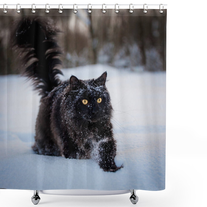 Personality  Black Maine Coon Cat Portrait In Winter Field Shower Curtains