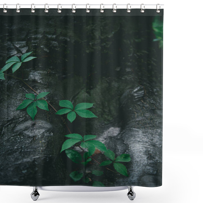 Personality  Dramatic Close-up Shot Of Tree Trunk With Vine Shower Curtains