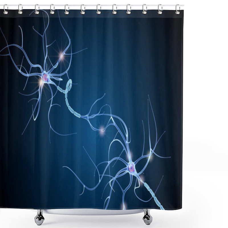 Personality  Nerve Cell Anatomy In Details. 3D Illustration Shower Curtains