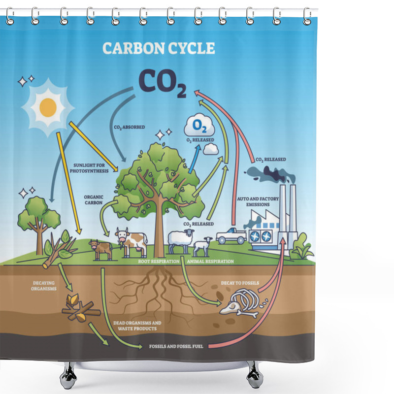 Personality  Carbon Dioxide Cycle With CO2 Emission Exchange In Nature Outline Diagram. Labeled Educational Scheme With Transportation, Factory Emissions, Agriculture And Photosynthesis Graph Vector Illustration. Shower Curtains