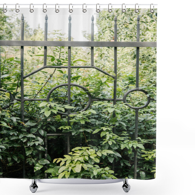 Personality  Green Branches Behind Fence In Botanical Garden Shower Curtains