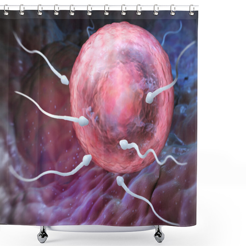 Personality  Sperm And Ovum Shower Curtains