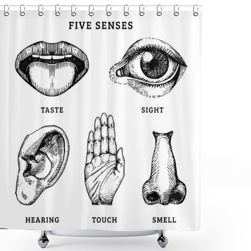 Personality  Set Of Five Senses: Taste, Sight, Hearing, Touch And Smell Shower Curtains