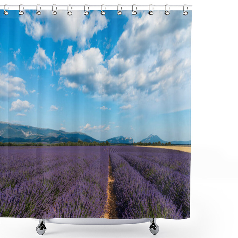 Personality  Picturesque Landscape With Beautiful Lavender Field And Distant Mountains In Provence, France Shower Curtains