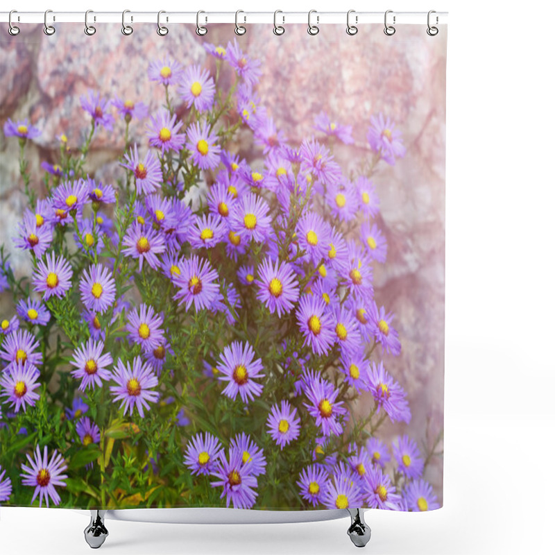 Personality  Aster Novi-belgii In Garden Flowerbed In Autumn  Shower Curtains