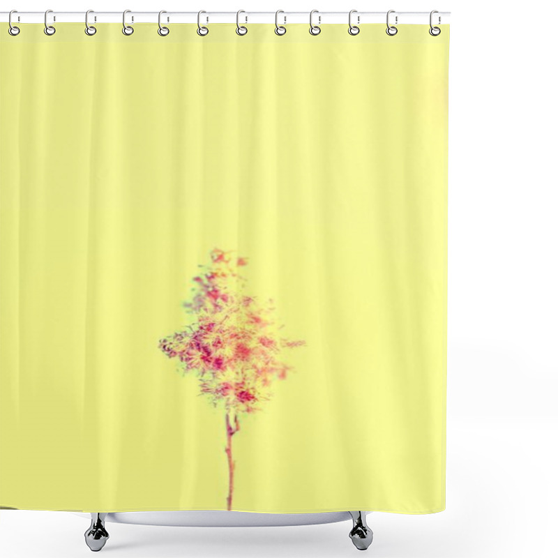 Personality  A Delicate Flower Captured Against A Pastel Yellow Background. Shower Curtains